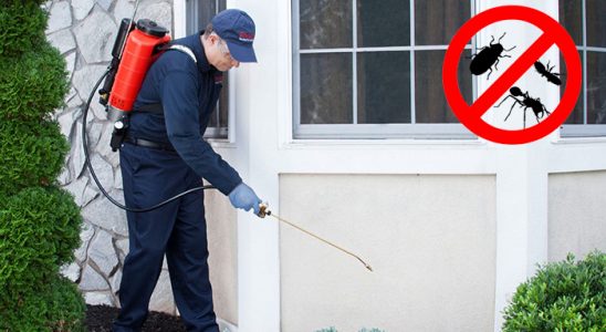 Söğüt Karınca İlaçlama böcek ilaçlama ve haşere kontrolü — ilaclama-tr.com